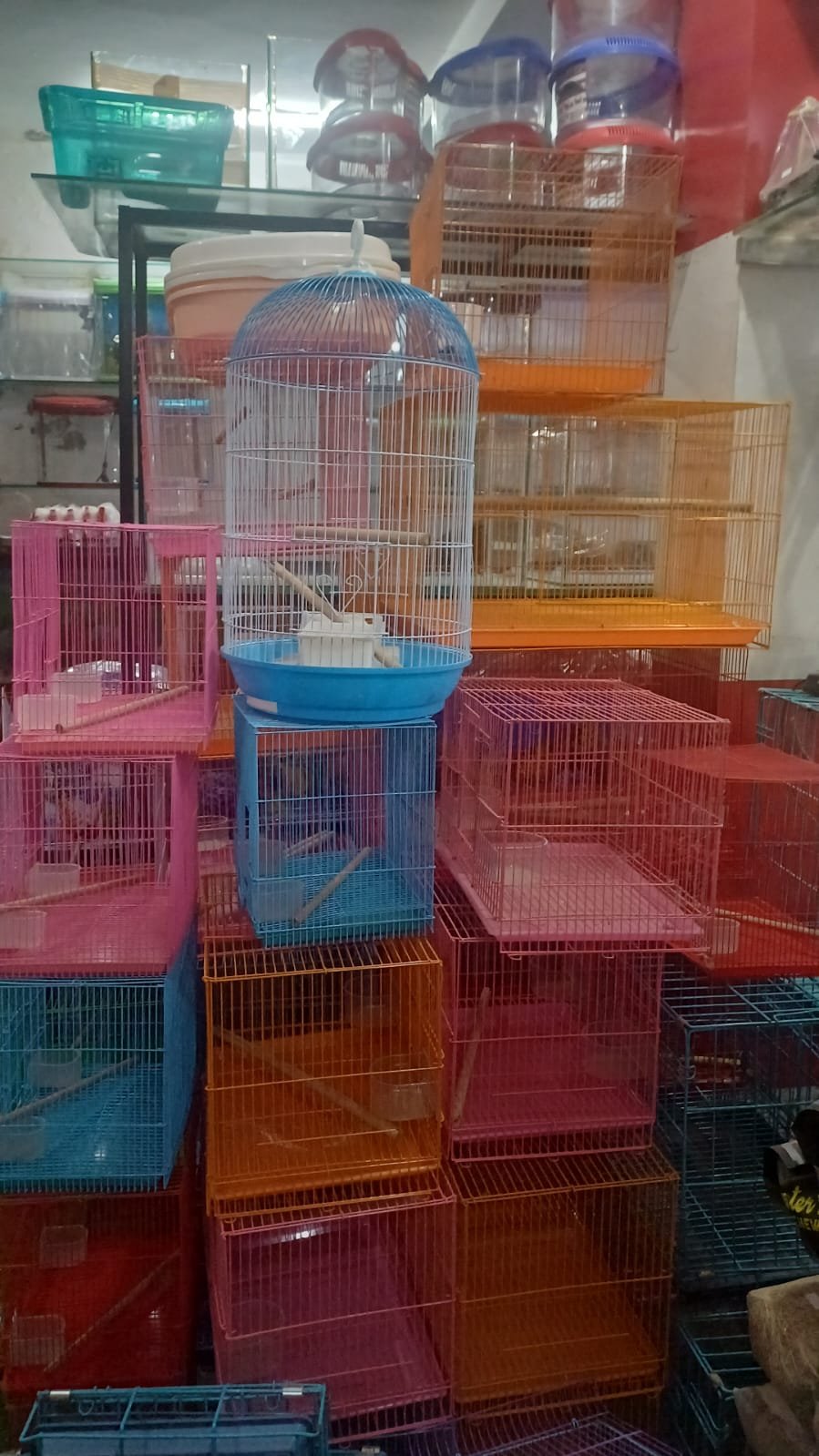 Bird Cage